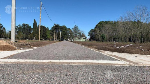 Imagen 1 de 8 de Terreno - Matheu - Lote 59 - Apto Procrear