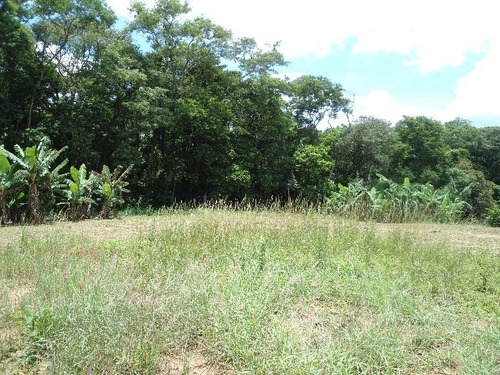 Imagem 3 de 5 de Vendo Área Na Estiva Em Louveira Com 50 Mil M² - Ar00024 - 2586754