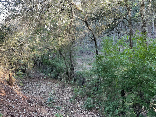 Terreno En Venta En Santa Rosa Con Acceso Vehicular Y Ojo De