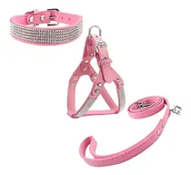 Comprar Newtensina Collar De Perro Y Juegos De Correas Y Arneses Col