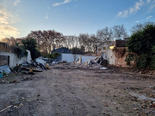 Imagen 5 de 5 de Terreno - Punta Chica
