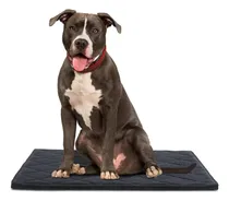 Comprar Cama Para Perro Resistente - Indestructible Y A Prueba De Ag