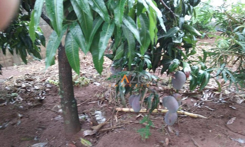 Imagem 19 de 19 de Casa Residencial À Venda, Vila Alemã, Rio Claro. - Ca0187