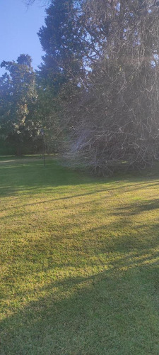 Imagen 3 de 4 de Terreno - Don Torcuato