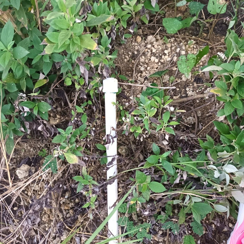 Imagen 8 de 12 de Solar A La Venta Con Su Títulos Deslindados / Económicos Con Facilidades De Pago En Villa Mella