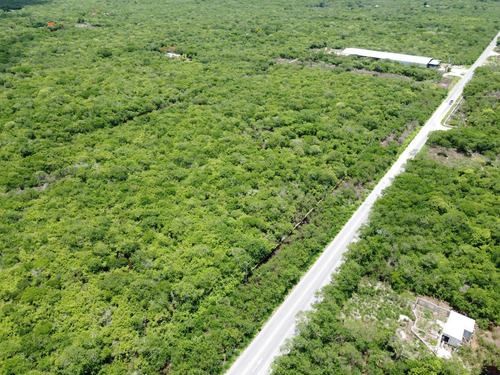 Imagen 10 de 13 de Terreno - Conkal Para Proyecto Comercial