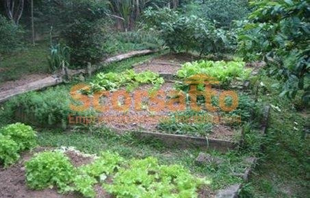 Imagem 8 de 9 de Chácara À Venda, Palmeiras, Juquitiba/sp - 4240