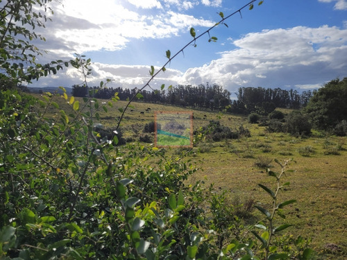Imagen 13 de 25 de 20has De Campo Sobre Ruta 12 Pueblo Edén