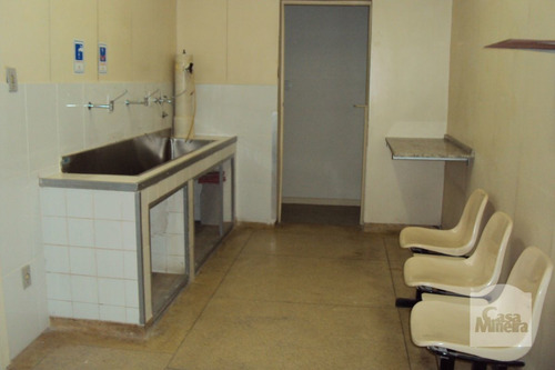 Imagem 11 de 15 de Prédio À Venda No Alto Barroca - Código 222485 - 222485