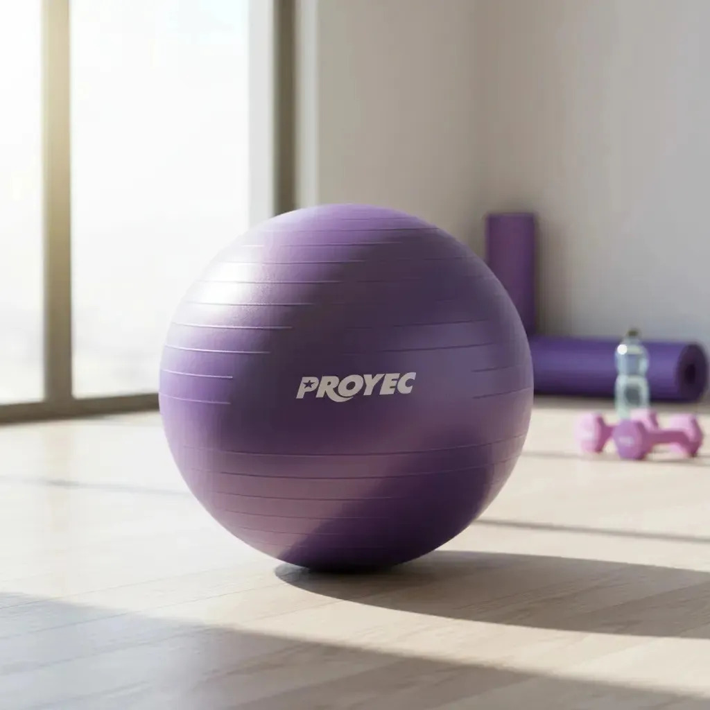 Pelota Proyec Gym Ball 65 Cm Reforzada Pilates Color Violeta