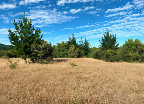Campo En Comuna De Florida