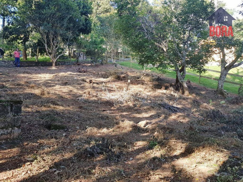 Imagem 18 de 18 de Chácara Com 1 Dormitório À Venda, 1175 M² Por R$ 300.000,00 - Jardim Da Serra - Mairiporã/sp - Ch0403
