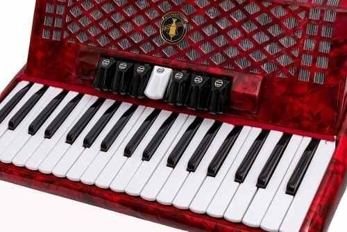 Acordeon Rojo + Estuche 80 Bajos 7+2 Reg Golden Cup