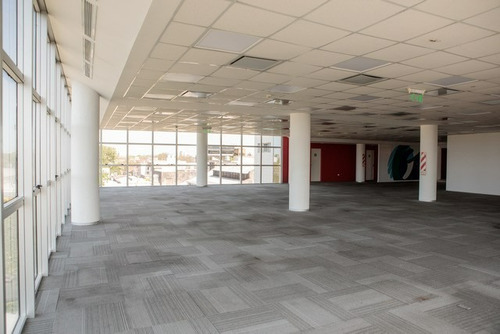 Imagen 5 de 11 de Oficina En Alquiler | Greending Ugarte | 416 M² Semipiso