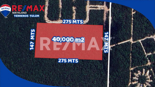 En Venta 4 Hectareas Juntas En Region 12 Sobre La 5ta Av De Tulum