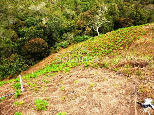 Imagen 4 de 18 de Haciendas - Finca En Venta, Mérida