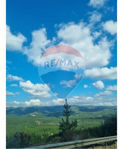 Venta De Parcela En Hualañe