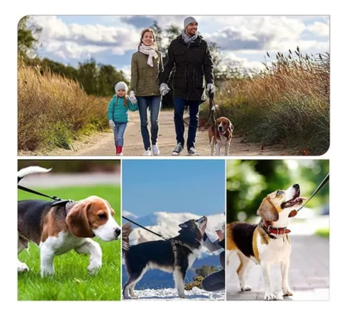 Correa Para Perro Nylon Entrenamiento Y Seguridad 10 Metros