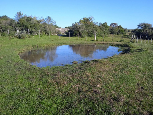 Campo Con Casa A Reparar, Instalaciones