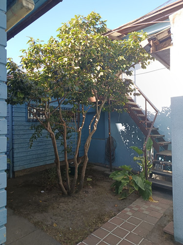 Arriendo Casa Empresa, Ohiggins 1266, Concepcion