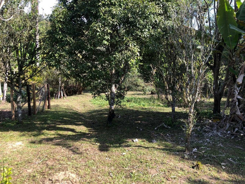 Imagem 12 de 14 de Chacara Para Formar, Ou Ate Residencia