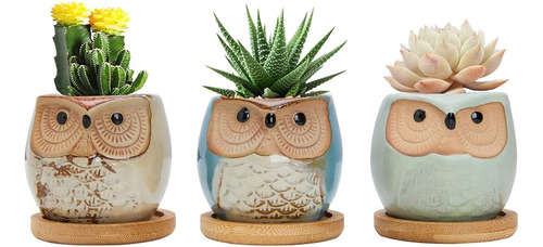 Warmplus 2.5 Pulgadas Owl Succulent Plant Pots - Mini Jardin