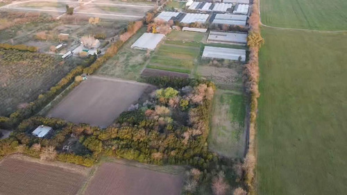 Imagen 4 de 6 de Venta Campo Belen De Escobar Inversión