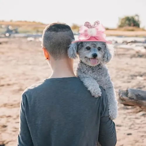 Beaupretty Gorro De Pascua Para Mascotas, Lindo Sombrero