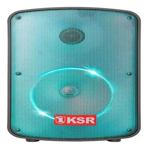 Bafle Profesional Recargable Ksr 8 PuLG Microfono Ksw-1108