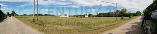 Imagen 22 de 30 de 486 Y 147. Lote De 990 M2 En Venta - Fincas De Gorina.-