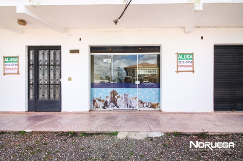 Loja Para Alugar - 36613.001