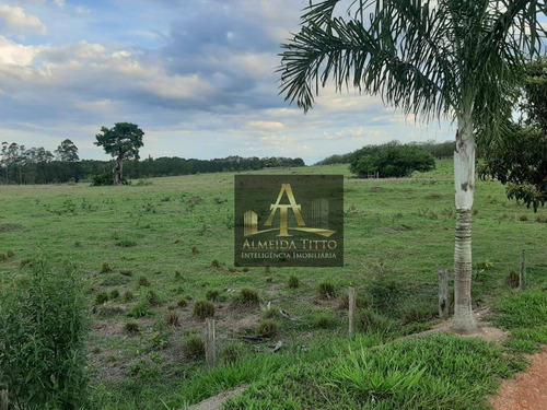 Imagem 16 de 30 de Excelente Sitio Para Venda Em Quadra - Sp - Confira!!!! - Si0010