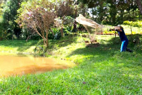 Imagen 5 de 14 de Se Vende Finca En Guarne A Dos Kilometros De La Autopista