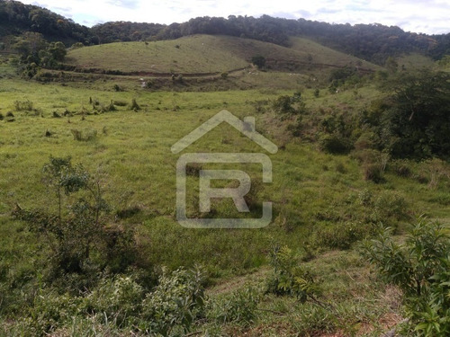 Imagem 20 de 28 de Linda Fazenda Com160 Alqueires, Sendo 80 Alqueires De Pasto - 238 - 70336610