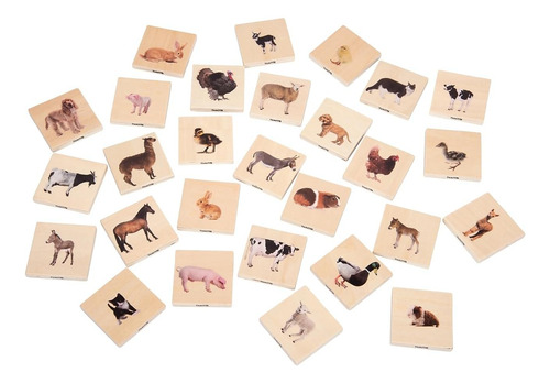 Tickit Partido De La Familia De Animales Domésticos Juego De