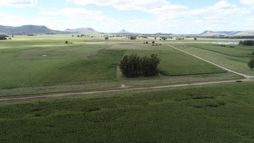 Imagen 22 de 30 de Quinta De 8 Has. A 1.800 Mts Ruta 226 - 100 % Agrícola