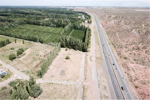 Imagen 23 de 30 de Terreno La Consuelo 499 Mts