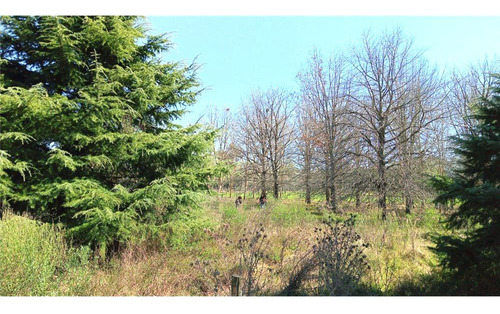 Venta Chacra 1 Ha, Arbolado Manzanares, Pilar