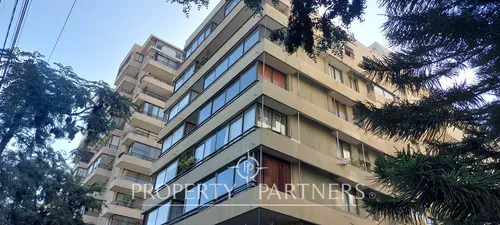 Para Remodelar Con Vista Despejada Garantizada