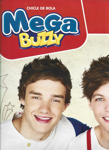 Álbum Figurinha Chicle Bola Buzzy - One Direction - Completo