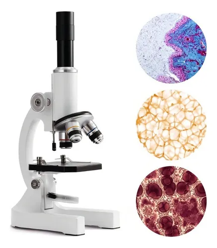 comprar Cc Gran Microscopio Biológico Biológico Profesional, 64x A