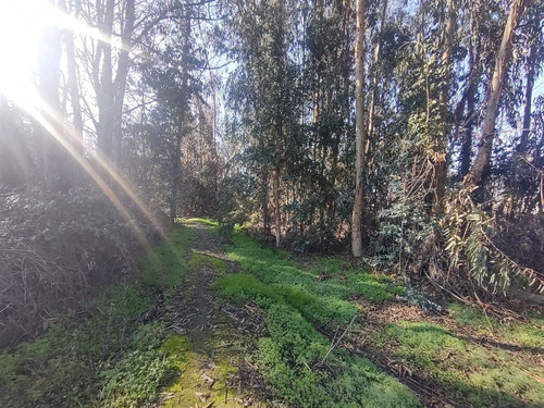 Terreno Construccion En Venta En Olivar
