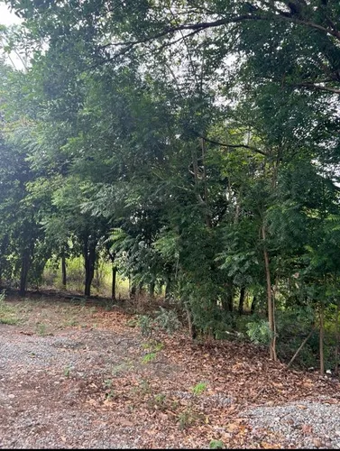 Lote En Venda Santa Fe De Antioquia Sobre Vía Principal