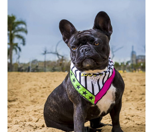 Imagen 2 de 9 de Bandanas Estampadas Para Perros. Varios Modelos