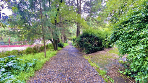 Terreno En Venta Fraccionamiento Rancho San Francisco