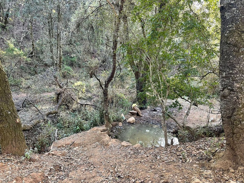 Terreno En Venta En Santa Rosa Con Acceso Vehicular Y Ojo De