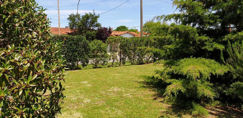 Imagen 11 de 13 de Duplex Miramar - 3 Ambientes - 6 Pers - Queda Solo Marzo -