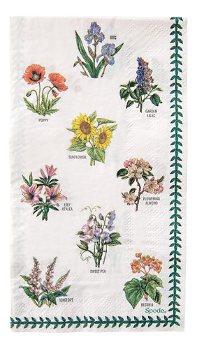 C.r. Gibson Spode Garden Floral - Toallas Desechables De Pap