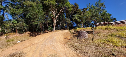 Chacara 3.200m2 A Venda Em Pedra Bela Sp