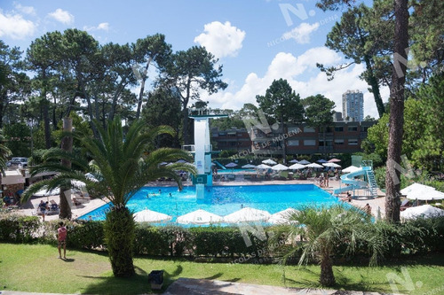 Imagen 23 de 26 de Hermoso Apartamento Esquinero En Zona Arbolada En La Parada 18 De La Mansa - Punta Del Este Mansa